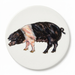 Saddleback Pig coaster