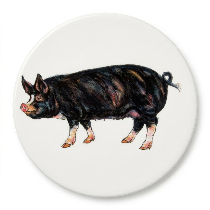 Pig Breeds Coaster Set of 6 in use