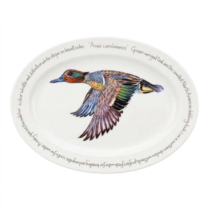 Green-winged Teal 39cm oval plate