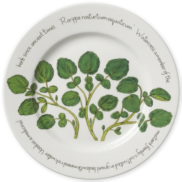 Watercress 30cm Plate