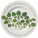 Watercress 30cm Plate