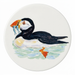 Puffin Swimming Coaster