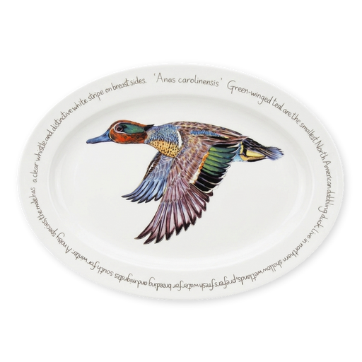 green winged teal oval plate