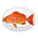 red snapper oval plate