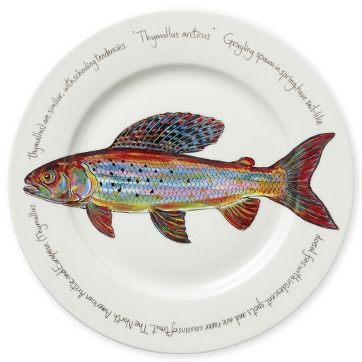 Arctic Grayling Trout 30cm Plate
