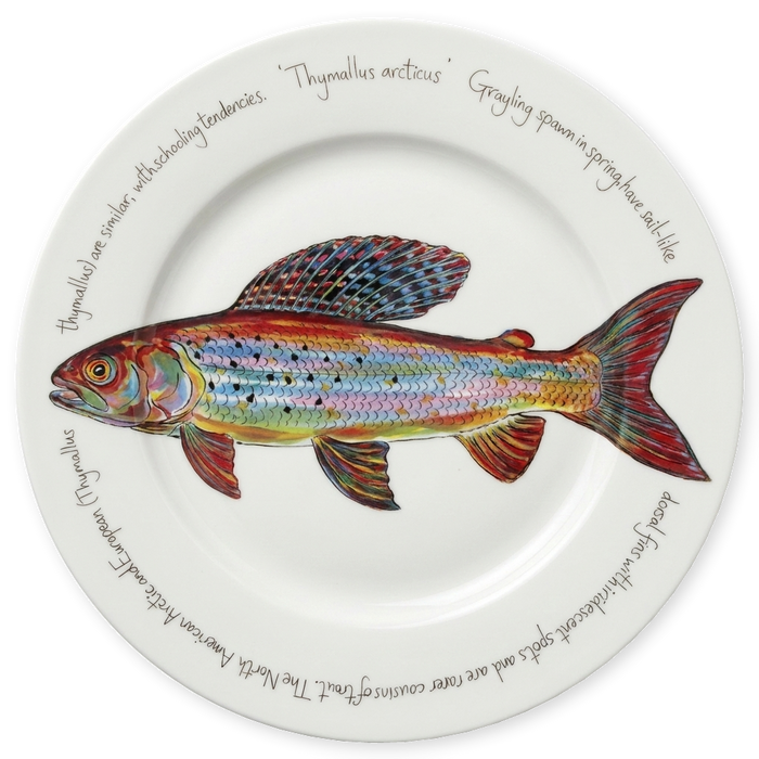 Arctic Grayling Trout 30cm Plate