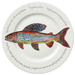 Arctic Grayling Trout 30cm Plate