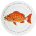 Red Snapper 30cm Plate