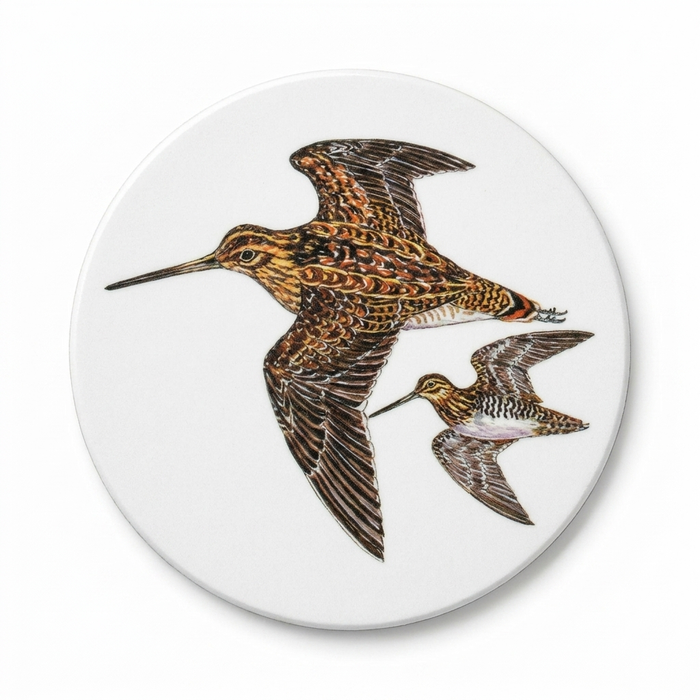 British Gamebirds Coaster Set of 6