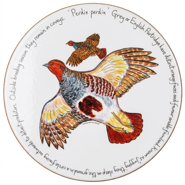 British Gamebirds Tablemat Set of 6 table setting