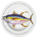 Yellowfin Tuna 30cm Plate