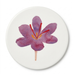 Saffron Coaster