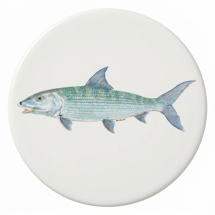 Saltwater Gamefish Coaster Set of 6 table setting