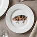 Richard Bramble Oxford Sandy Black Pig 19cm Plate lifestyle