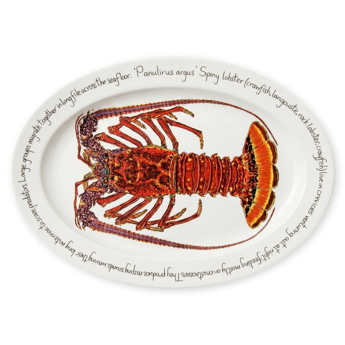 spiny lobster oval plate