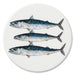 Mackerel coaster