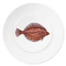Plaice 19cm Flat Rimmed Plate