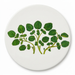 Watercress Coaster