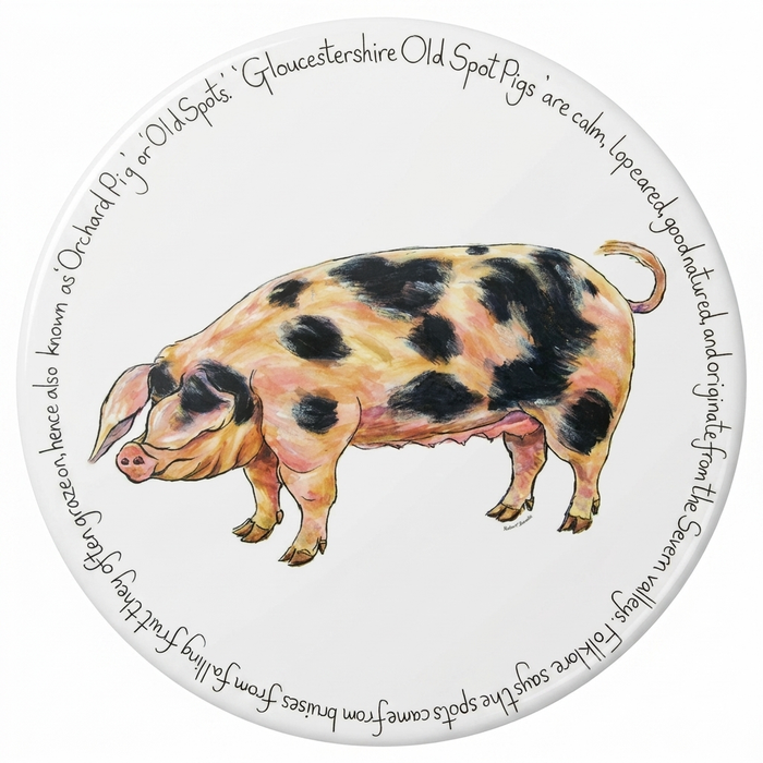 Pig Breeds Tablemat Set of 6 in use
