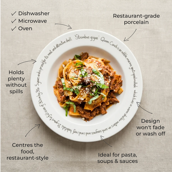 Deep rimmed plate features