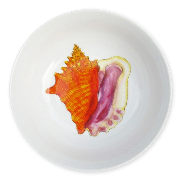 conch bowl