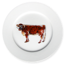 Longhorn Cow 19cm Flat Rimmed Plate