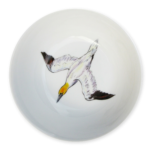 gannet diving bowl