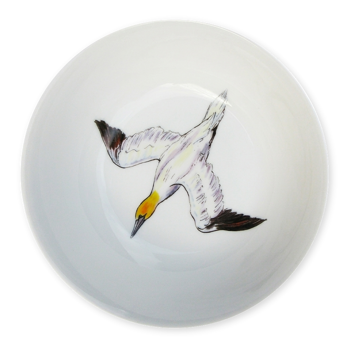 gannet diving bowl