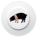 British Saddleback Pig 19cm Flat Rimmed Plate