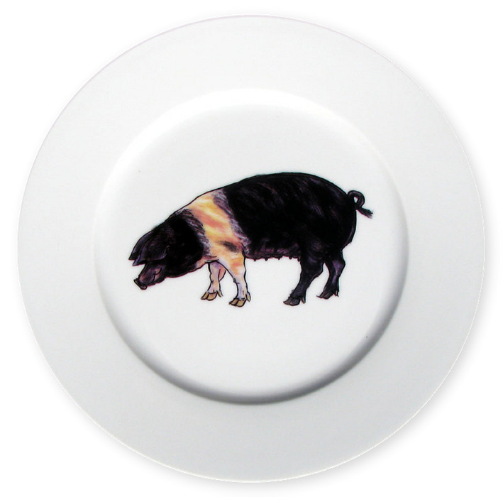 Richard Bramble British Saddleback Pig 19cm Plate