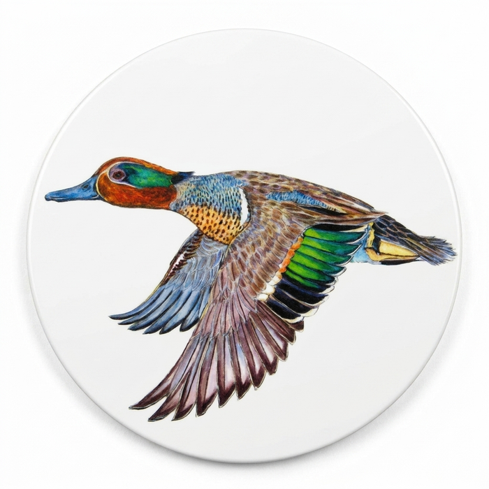 Green Winged Teal Coaster