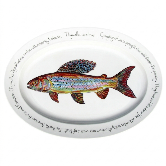 Arctic Grayling 39cm oval plate