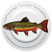 Brook Trout 30cm Plate