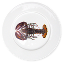 North American Lobster 19cm Flat Rimmed Plate