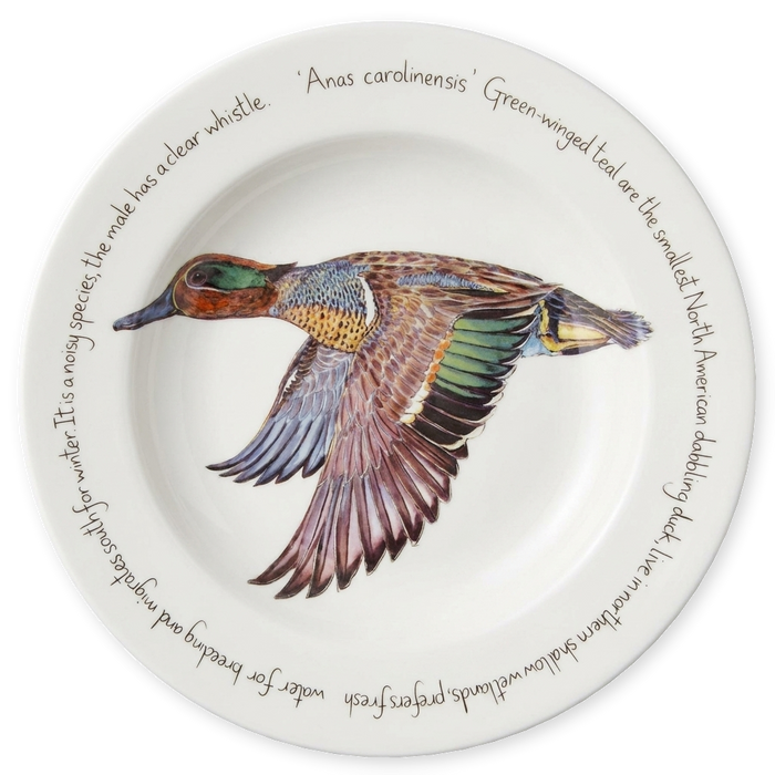 Green Winged Teal 30cm Plate