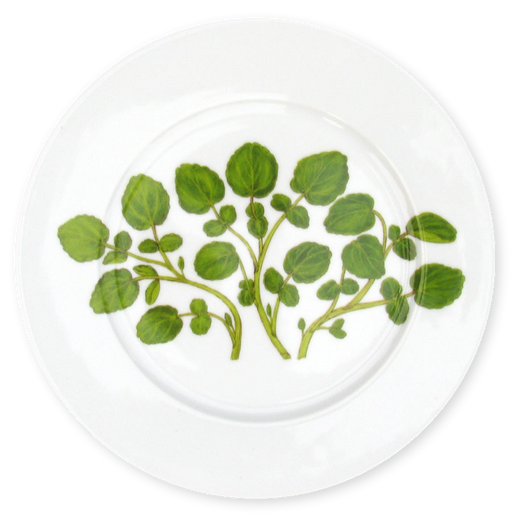 Richard Bramble Watercress 19cm Plate