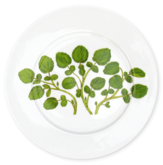 Richard Bramble Watercress 19cm Plate