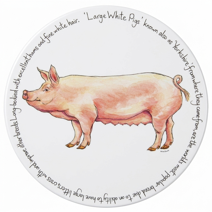 Pig Breeds Tablemat Set of 6 table setting