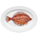 plaice oval plate