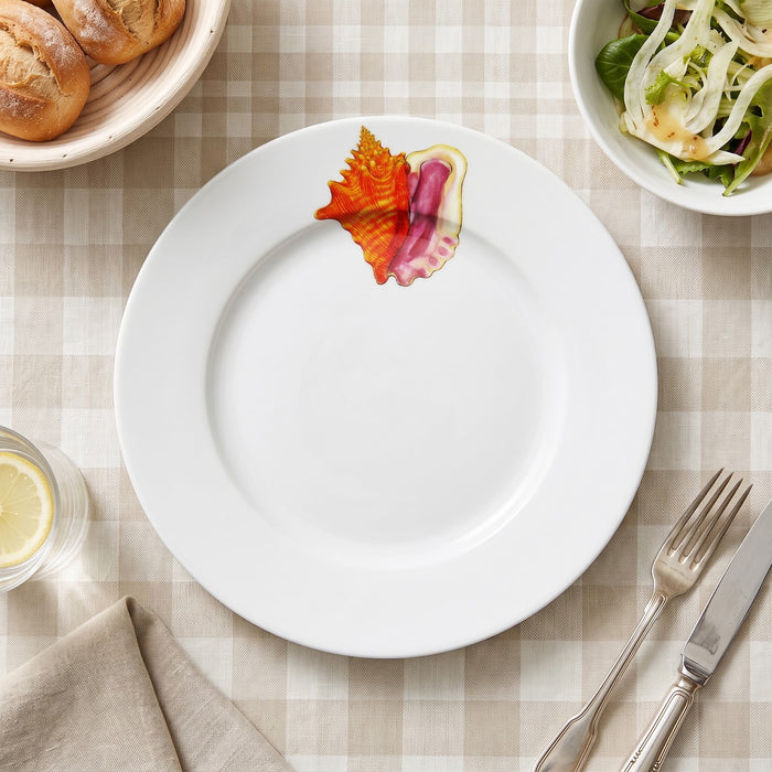 Conch 26cm Flat Rimmed Plate styled on the table
