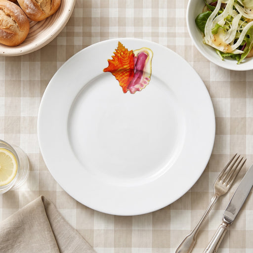 Richard Bramble Conch 26cm Plate lifestyle