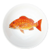 red snapper bowl
