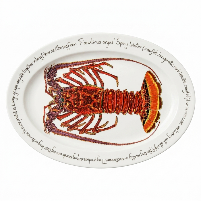 Spiny Lobster 39cm oval plate