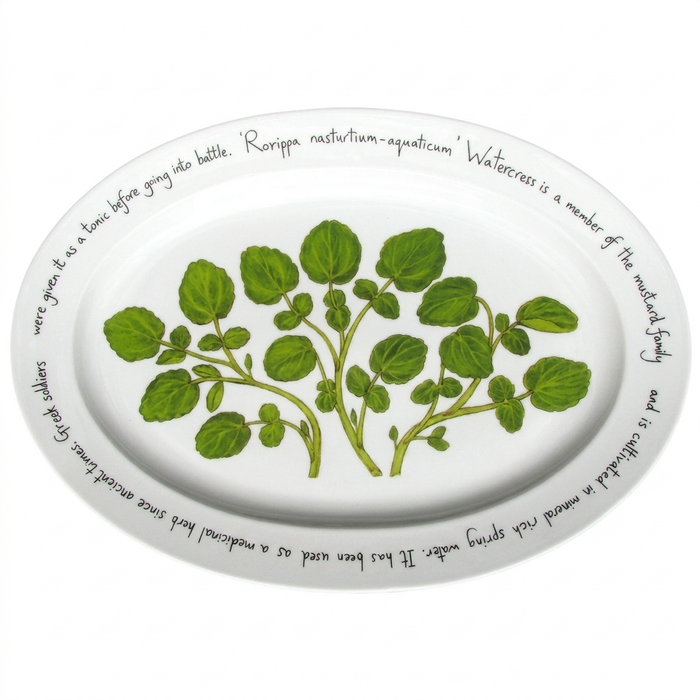 Watercress 39cm oval plate