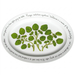 Watercress 39cm oval plate