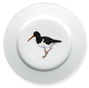 Oystercatcher Standing 19cm Flat Rimmed Plate
