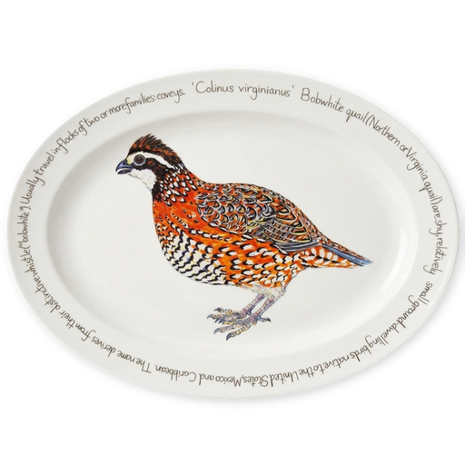 bobwhite quail oval plate