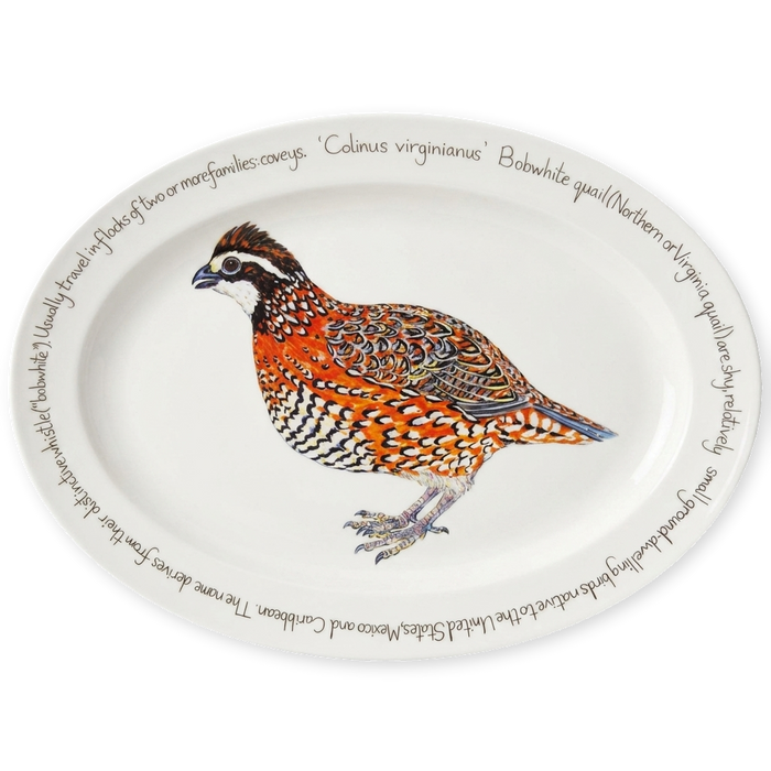 bobwhite quail oval plate