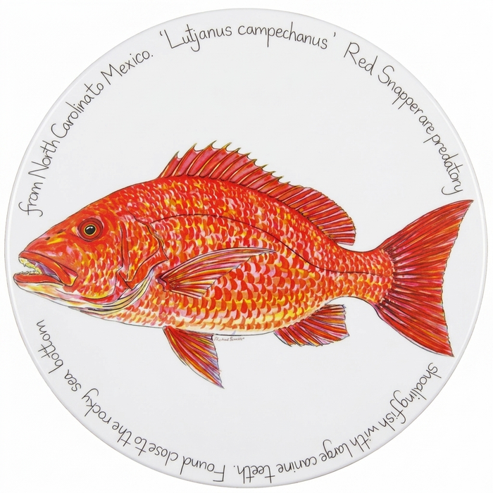 Saltwater Gamefish Tablemat Set of 6 size & rim guide