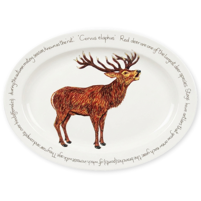 roaring stag oval plate